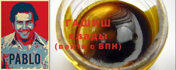 твердый Инта