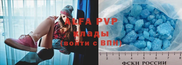 твердый Инта