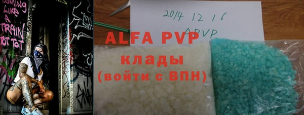 твердый Инта