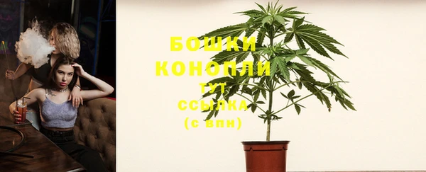 твердый Инта