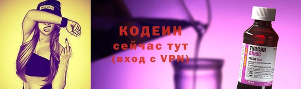 твердый Инта