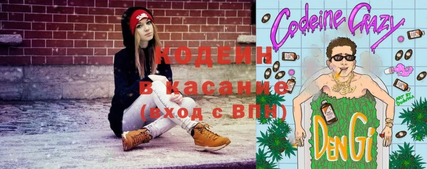 мдпв Иннополис