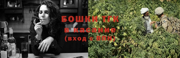 твердый Инта