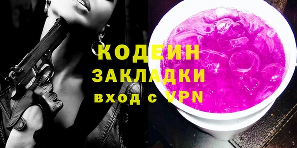 твердый Инта
