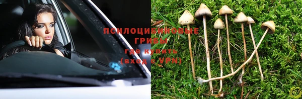 стафф Инсар