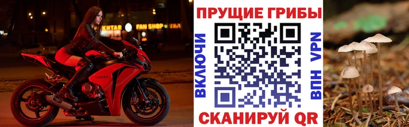 Галлюциногенные грибы Magic Shrooms  Купить закладки  Гаджиево 